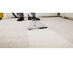 Quality Carpet Cleaning Services