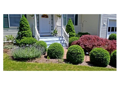 Hire Professionals for All Your Gardening Needs