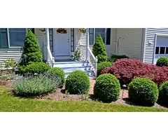 Hire Professionals for All Your Gardening Needs