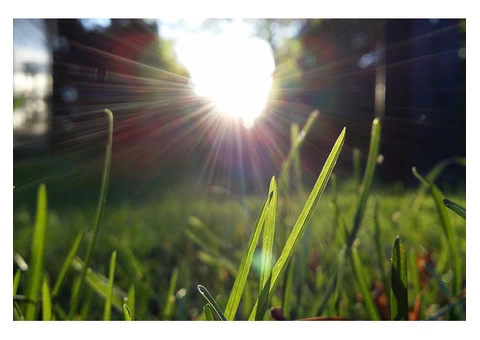 Sydney Turf Supplies Supplied Right When You Need Them