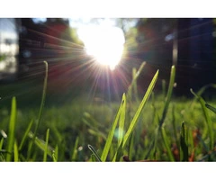 Sydney Turf Supplies Supplied Right When You Need Them