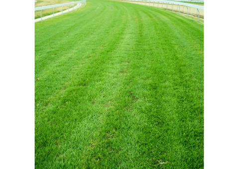 Sydney Turf Supplies Supplied Right When You Need Them - 2/2