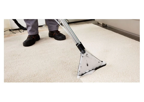Are You Finding Commercial Carpet Cleaning Altona?