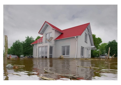 Water Damage Restoration Service From Red Carpet At Best Price In Melbourne