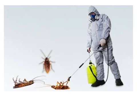Cockroach Control Brisbane - 4/6