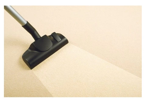 Professional Carpet Steam Cleaning Service