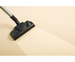 Professional Carpet Steam Cleaning Service