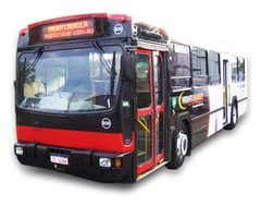 Party Your Heart Out with our Party Bus in Perth