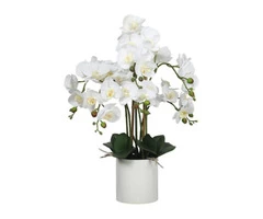 Ornamental Ultra-realistic Artificial Orchids and Succulents Plants