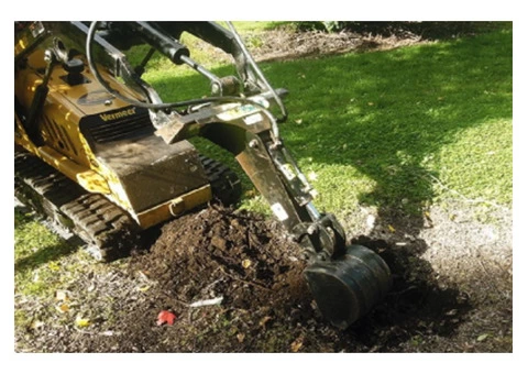 Earthworks Sunshine Coast | LivingScape