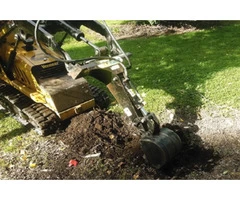 Earthworks Sunshine Coast | LivingScape