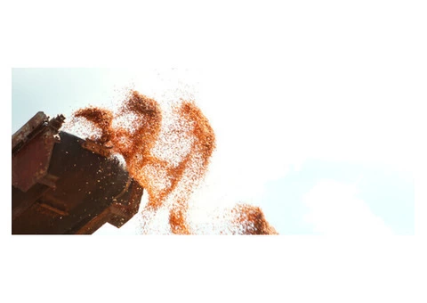 Are you confident that the produced crops are safe for export?