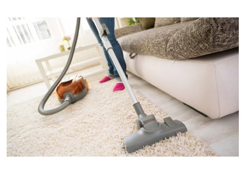 Professional Carpet Steam Cleaning