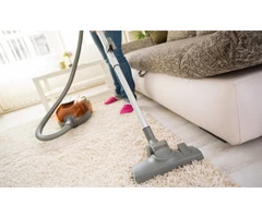 Professional Carpet Steam Cleaning