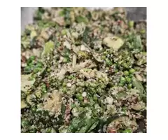 Brisbane Vegetarian Cooking Classes