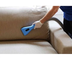 Professional Upholstery Cleaning Services in Newtown
