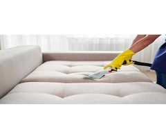 Same Day Quality Upholstery Cleaning Morley