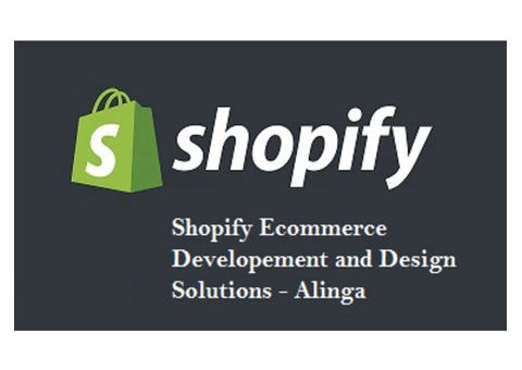 Give your website a grand look with eCommerce website developer