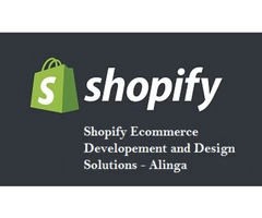 Give your website a grand look with eCommerce website developer