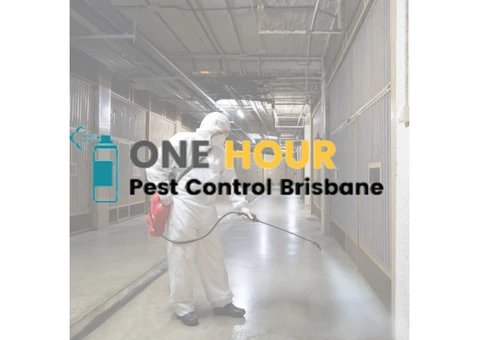 Same Day Pest Control Brisbane