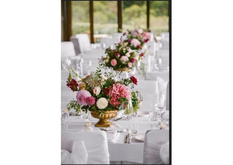 Wedding Photography Packages Adelaide - 0439 882 506