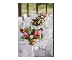 Wedding Photography Packages Adelaide - 0439 882 506