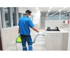 Save Your Offices With Commercial Pest Control Services in Melbourne