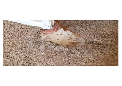 Carpet Repair Canberra - 2/2