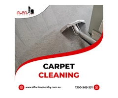 Carpet Cleaning