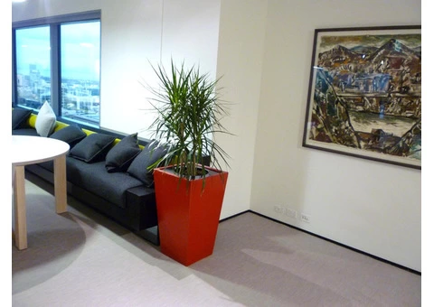 Best Indoor Planters for Beautiful Home Decor