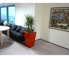 Best Indoor Planters for Beautiful Home Decor