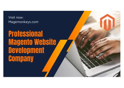 Professional Magento Website Development Service - 1/3