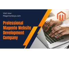 Professional Magento Website Development Service