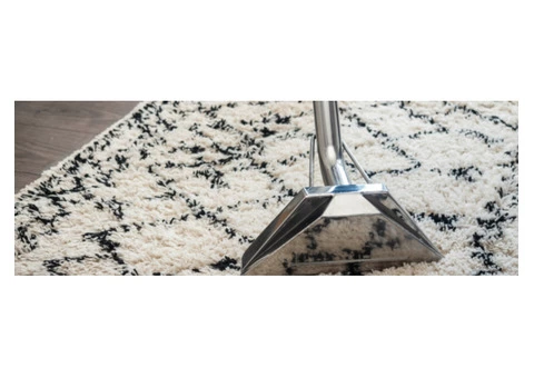 Choice Rug Cleaning Brisbane - 4/4