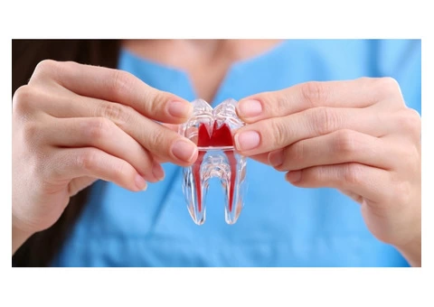 Save your damaged tooth with root canal treatment at United Dental Clinic!