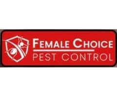 Silverfish Control Brisbane | Female Choice Pest Control