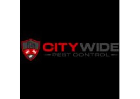 City Wide Pest Control Sydney - 1/3