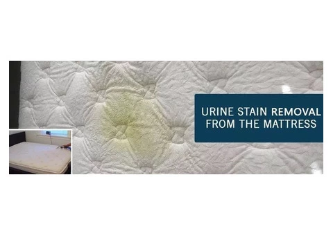 Book Mattress Cleaning Ottoway at affordable price