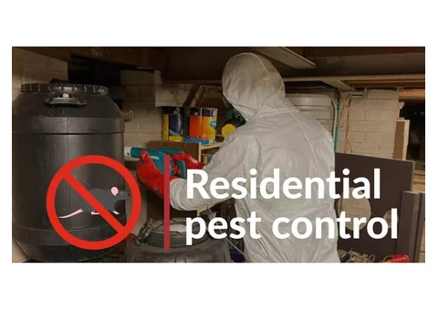 Get Professional For Pest Control Sydney - True Pest Control