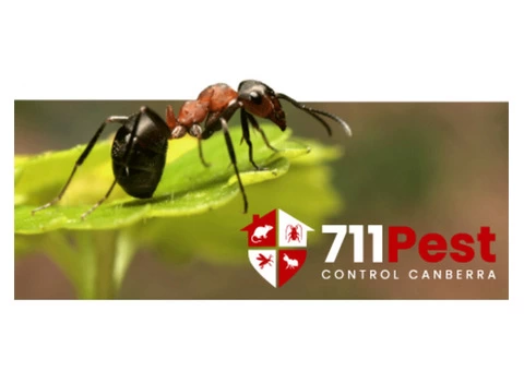 Ant Control Canberra - 1/6