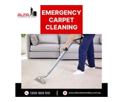 Emergency Carpet Cleaning Sydney