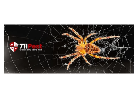 Spider Extermination Hobart - 3/6