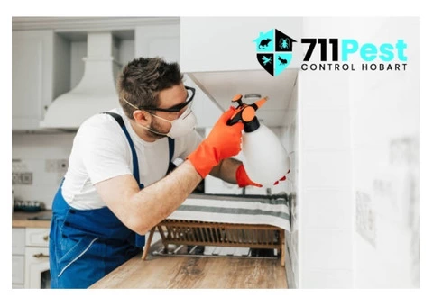 Spider Extermination Hobart - 5/6