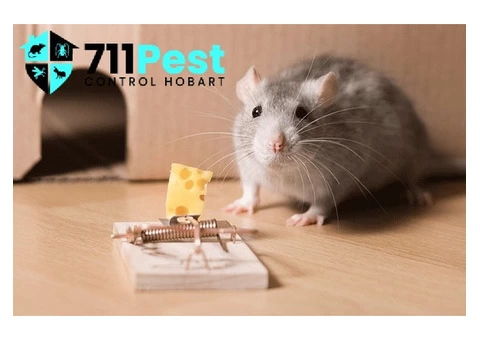 Rodent Control Hobart - 5/7
