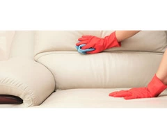 Are You Searching for Upholstery Cleaning in Balwyn?