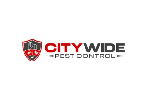 City Wide Possum Removal Sydney - 1/8