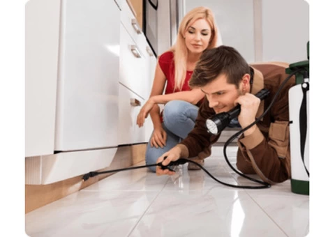 Dead Animal Removal Berrinba