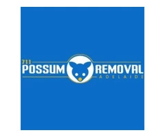 Possum Removal Adelaide