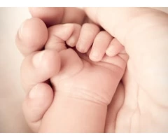 Hand and Wrist Surgeon - Dr. David Graham