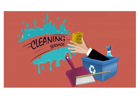 Residential and Commercial Carpet Cleaning in Brisbane - 2/2
